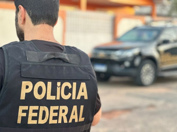 Polícia Federal combate desmatamento ilegal