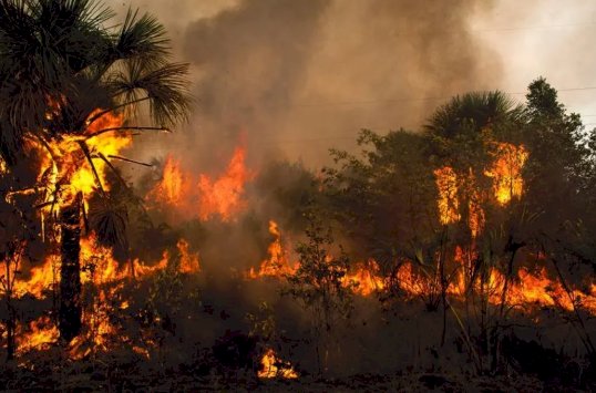 Mato Grosso lidera ranking nacional de queimadas