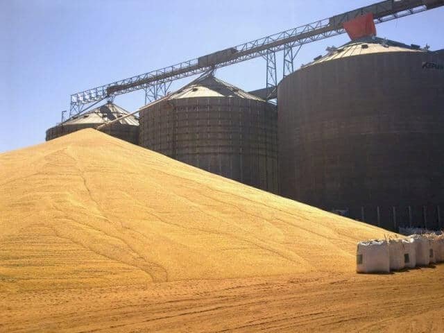 Mato Grosso bate recorde na produção de grãos