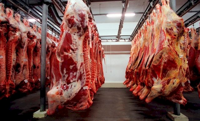 Exportações de carne bovina crescem e impulsionam economia de Mato Grosso