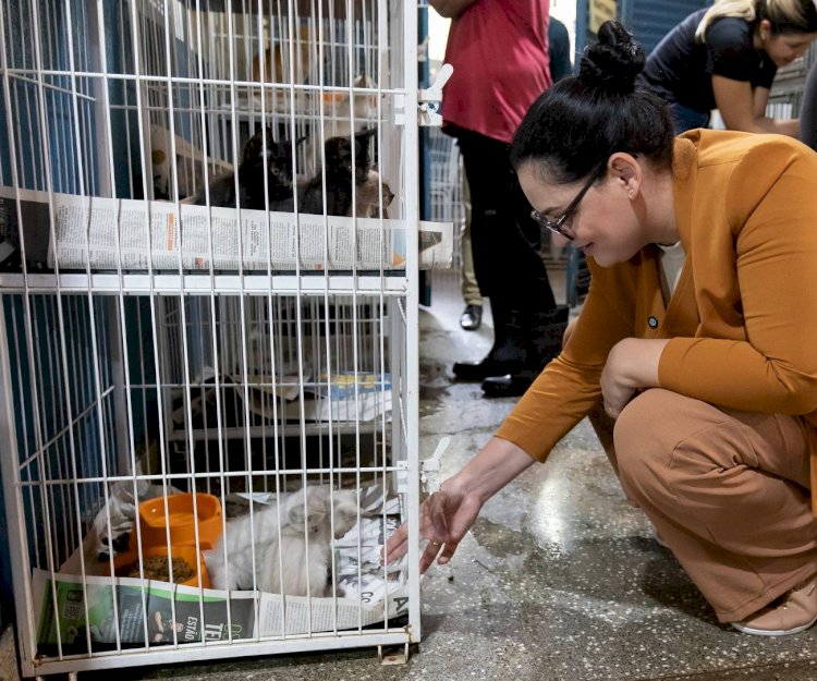 Primeira-Dama Lidera Frente de Ações pela Causa Animal em Cuiabá